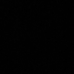 Meet your Posher, Noah